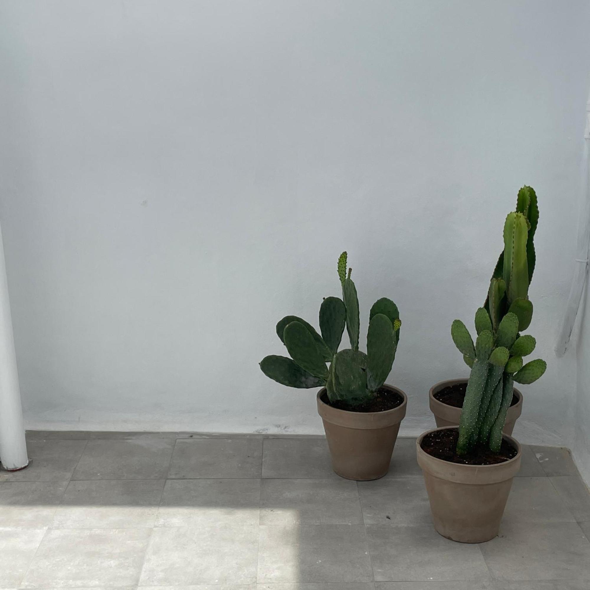 Casa Florinda Tarifa