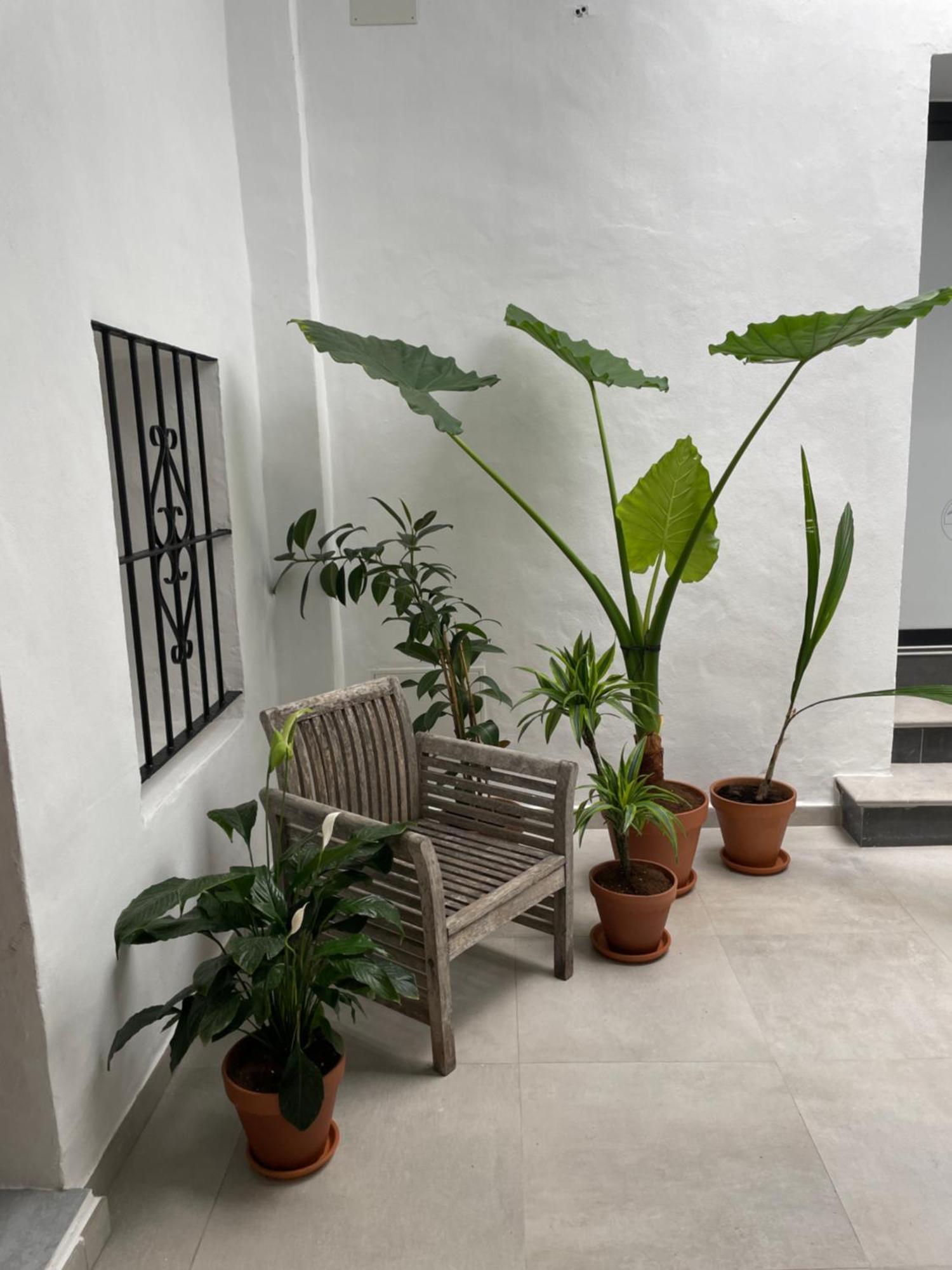 Casa Florinda *