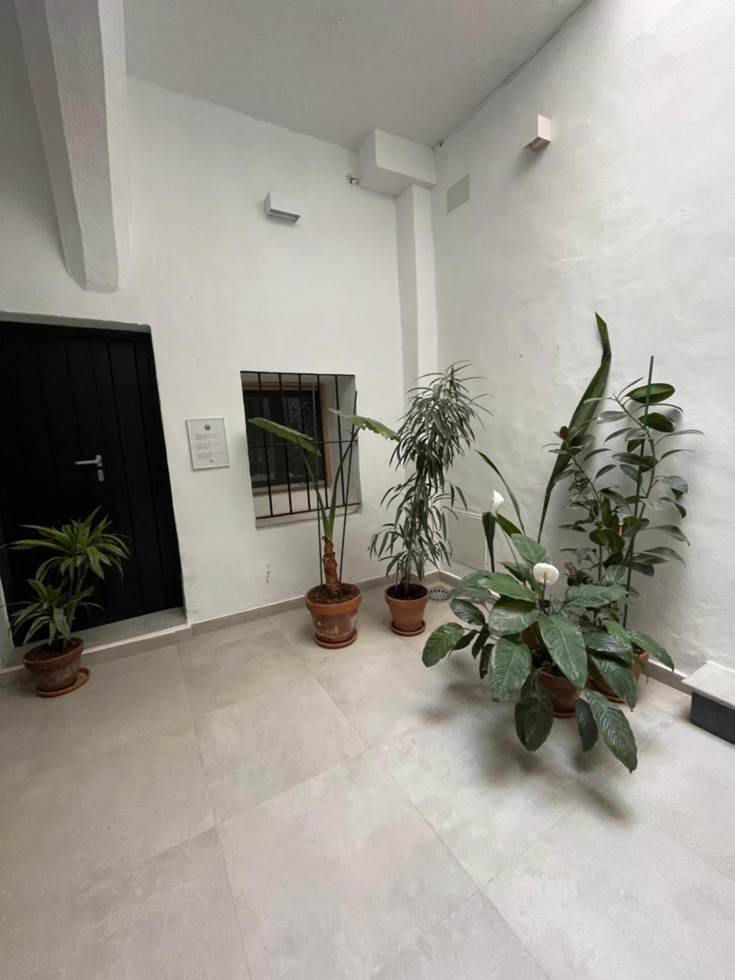 Apartamento Casa Florinda